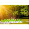 Natural health & lifestyle solutions
