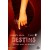 Destins - Flirter avec ses demons Tome 3
