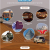 booking voyage 