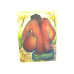 Tableau Africain femme tribale