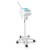  Vapor Ozone Steamer